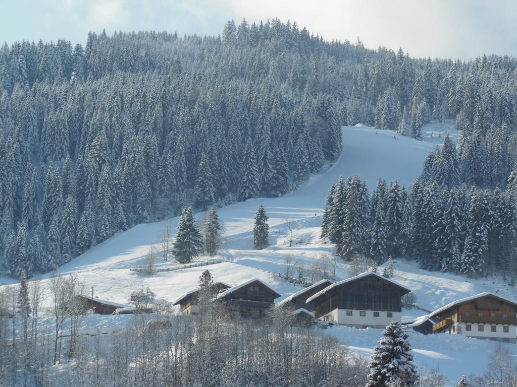 Haus Schoenleiten Ваграйн Экстерьер фото