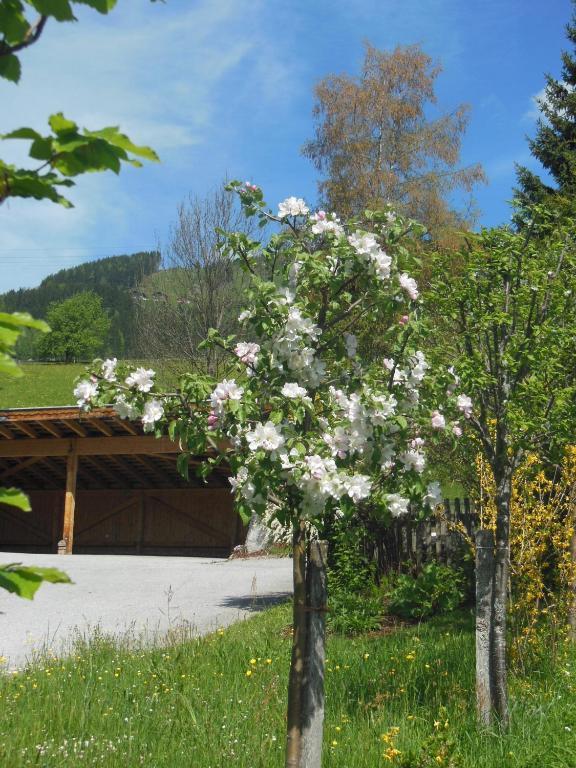 Haus Schoenleiten Ваграйн Экстерьер фото